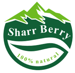 Sharr Berry o kompaniji